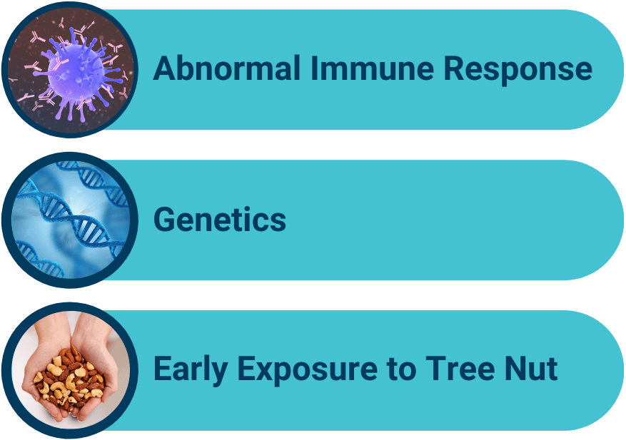 Allergen Tree Nuts