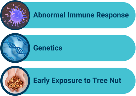 Tree Nut Allergy Symptoms and Treatment - Food Allergy Institute