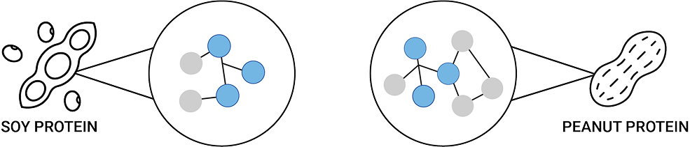 Biosimilar Proteins-2-07 (1)