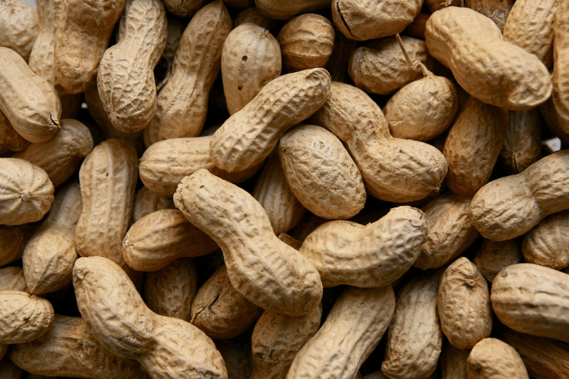 Peanut Allergy Symptoms and Treatment